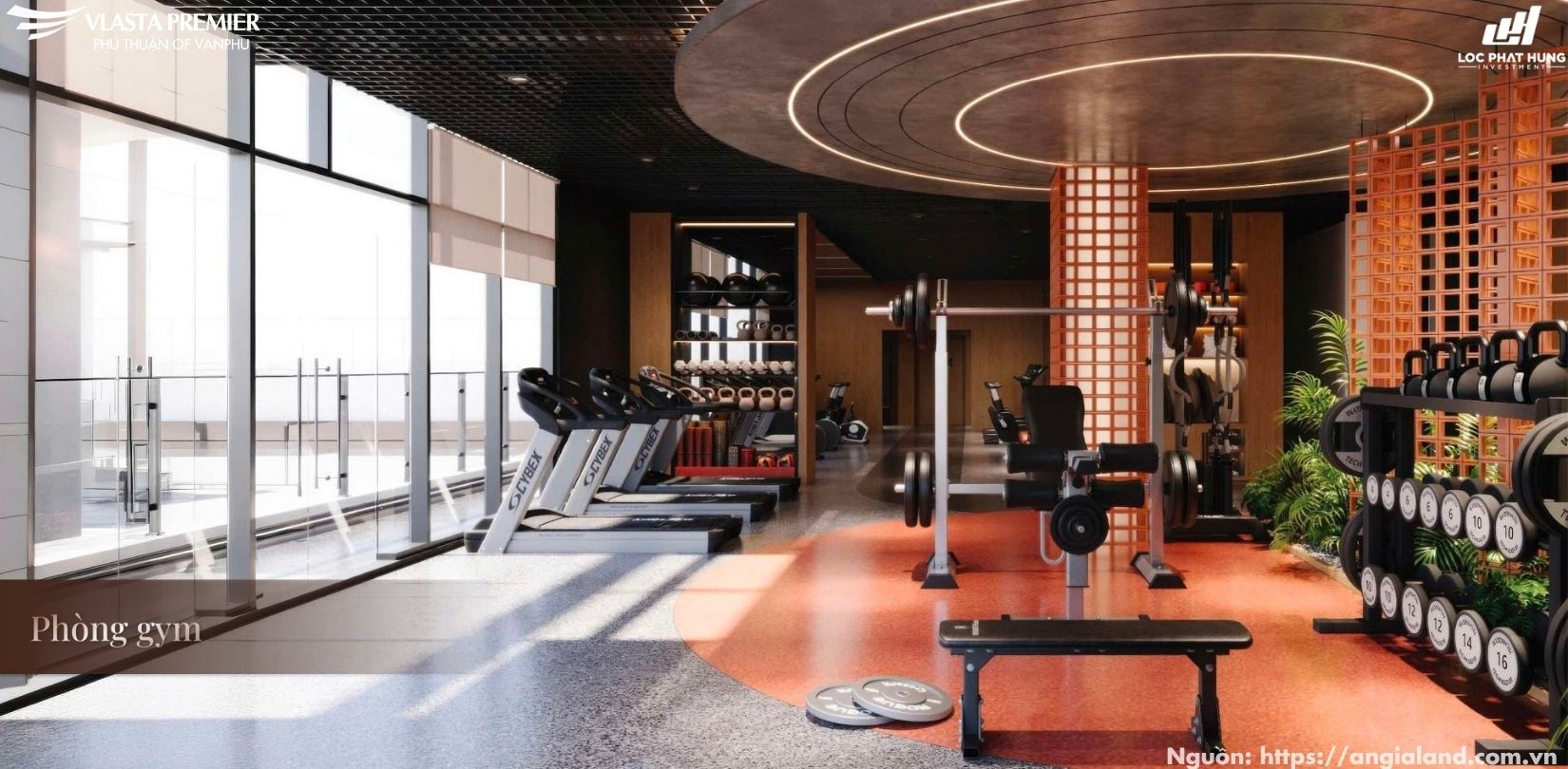 Phòng Tập Gym Hiện Đại Vlasta Premier