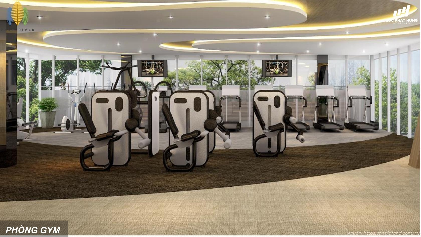 Phòng tập Gym hiện đại tầm nhìn hồ bơi tại dự án Palm River Quận 2